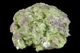 Vesuvianite Crystal Cluster - Jeffrey Mine, Canada #134403-1